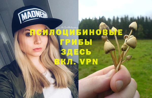 apvp Алексеевка