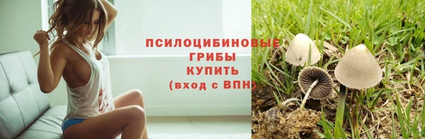 ешки Абаза